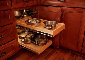 Blind Corner Kitchen Cabinet Ideas Kitchen Corner Cabinet organizers Classy Blind Corner Kitchen