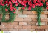 Blossoms On the Bricks Flowers On the Brick Wall Stock Image Image Of Background