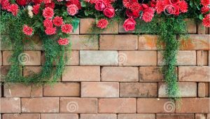 Blossoms On the Bricks Flowers On the Brick Wall Stock Image Image Of Background