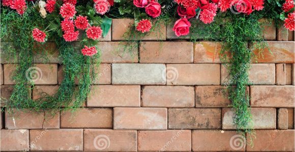 Blossoms On the Bricks Flowers On the Brick Wall Stock Image Image Of Background