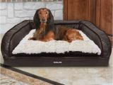 Bolster Dog Bed Costco Kirkland Dog Bed Kirkland Signature Rectangular Pet Bed