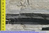 Boman Kemp Window Well Petroleum Geology Of southern England Bibliography Oil south