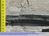 Boman Kemp Window Well Petroleum Geology Of southern England Bibliography Oil south