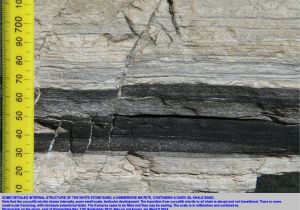 Boman Kemp Window Well Petroleum Geology Of southern England Bibliography Oil south