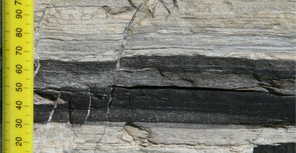 Boman Kemp Window Well Petroleum Geology Of southern England Bibliography Oil south