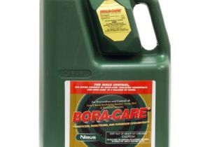 Bora Care with Mold Care Bora Care with Mold Care 1 Gallon 608794 Nataniel