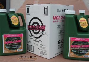 Bora Care with Mold Care Bora Care with Mold Care 1 Gallon Jug From Poles Inc