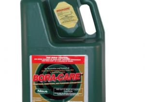 Bora Care with Mold Care Bora Care with Mold Care