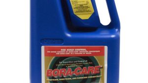 Bora Care with Mold Care Label Bora Care with Mold Care