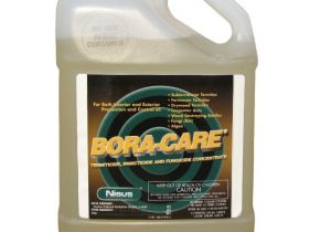 Bora Care with Mold Care Label Boracare Ecovar