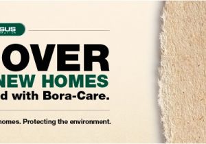 Bora Care with Mold Care Label Nisus Corp