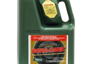 Bora Care with Mold Care Lowes Bora Care with Mold Care 1 Gallon 608794 Nataniel
