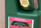 Bora Care with Mold Care Lowes Bora Care with Mold Care 1 Gallon Jug From Poles Inc