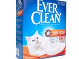 Breeze Odor Control Litter Box Reviews Ever Clean Fast Acting Odour Control Cat Litter 10 Litre Amazon Co