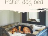 Built In Entertainment Center Plans Free Diy Pdf Tutorial Pallet Dog Bed 1001 Pallets Free Download How