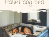 Built In Entertainment Center Plans Pdf Diy Pdf Tutorial Pallet Dog Bed 1001 Pallets Free Download How