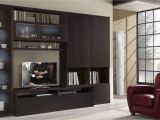 Built In Entertainment Center Plans with Drywall Home Built In Bar and Wall Unit Ideas Magnificent Living Room