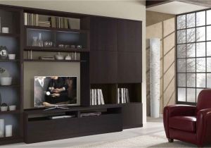 Built In Entertainment Center Plans with Drywall Home Built In Bar and Wall Unit Ideas Magnificent Living Room