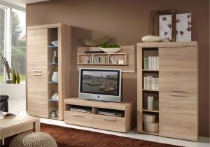 Built In Entertainment Center Plans with Fireplace Modern Entertainment Center Bramblesdinnerhouse