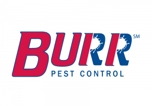 Burr Pest Control Rockford Illinois Roseville Pest solutions formerly Burr Pest Control 1649 Charles
