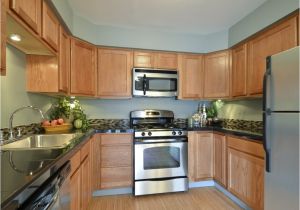 Cabinets to Go norfolk Va Cabinets to Go Cabinets to Go Bathroom Inspirational 40 Best Dark