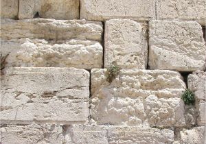 Caliche for Sale Near Me Jerusalem Stone Wikipedia