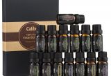 Calily Essential Oils Reviews Calily Aromatherapy Essential Oil Set top Essential Oils
