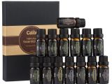 Calily Essential Oils Reviews Calily Aromatherapy Essential Oil Set top Essential Oils