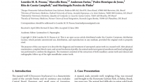 Canine tooth Extraction aftercare Pdf Extraction Of Unerupted Maxillary Canine Teeth In A Maned Wolf