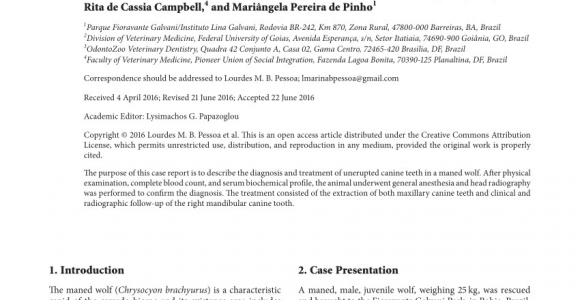 Canine tooth Extraction aftercare Pdf Extraction Of Unerupted Maxillary Canine Teeth In A Maned Wolf