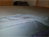 Cariloha Bamboo Sheets Reviews Cariloha Sheets Review are Bamboo Sheets softer Than