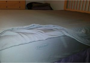 Cariloha Bamboo Sheets Reviews Cariloha Sheets Review are Bamboo Sheets softer Than