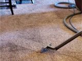 Carpet Cleaner Amarillo Tx Apex Carpet and Upholstery Cleaning Carpet Cleaning Service In