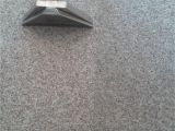 Carpet Cleaner Rental Stafford Va Carpet Cleaners In Stafford Archives Pristine Tile