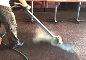 Carpet Cleaner Rental Stafford Va Carpet Cleaning Company Photo Enviropure Home Services