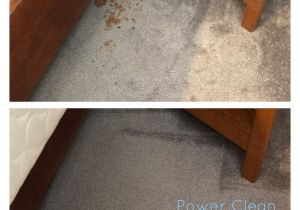 Carpet Cleaners In Rio Rancho Power Clean Carpet Cleaning 28 Photos Carpet Cleaning 2725