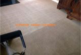 Carpet Cleaners Near Stafford Va Superior Fabric Cleaners 146 Photos 71 Reviews