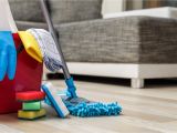 Carpet Cleaners Panama City Florida 7 sofa Cleaning Tricks All Star Steam Cleaning