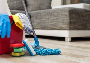 Carpet Cleaners Panama City Florida 7 sofa Cleaning Tricks All Star Steam Cleaning