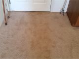 Carpet Cleaners Rio Rancho Rio Rancho Carpet Cleaning Carpet Repair Cleaning