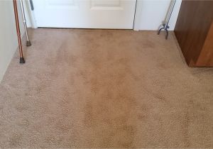 Carpet Cleaners Rio Rancho Rio Rancho Carpet Cleaning Carpet Repair Cleaning