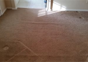 Carpet Cleaners Rio Rancho Rio Rancho Carpet Restretch Carpet Repair Cleaning