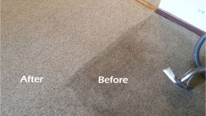 Carpet Cleaning Amarillo Tx Carpet Cleaning In Canyon Tx Carpet Cleaning In Amarillo Tx