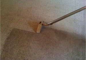 Carpet Cleaning Anchorage Ak System Clean Anchorage Ak Cylex