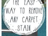 Carpet Cleaning Casper Wy 25 Best Home Essentials Images On Pinterest Cleaning Handy Tips