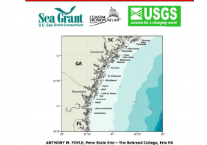 Carpet Cleaning Companies In Brunswick Ga Pdf Georgia south Carolina Coastal Erosion Study Phase 2 southern