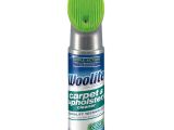 Carpet Cleaning Florence Sc Woolite 12 Oz Carpet Cleaner at Lowes Com