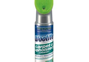 Carpet Cleaning Florence Sc Woolite 12 Oz Carpet Cleaner at Lowes Com