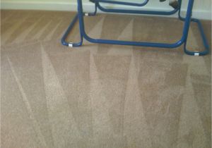 Carpet Cleaning Grand Junction Contact O G Pro Carpet Care Carpet Cleaning Grand Rapids