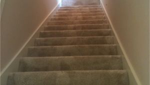 Carpet Cleaning Grand Junction Contact O G Pro Carpet Care Carpet Cleaning Grand Rapids